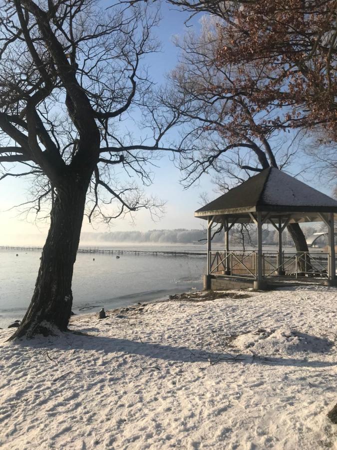 Drewniany Domek Nad Miedwiem Morzyczyn  Kültér fotó